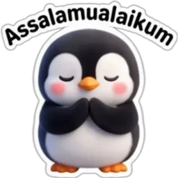 salam, assalamualaikum, penguin