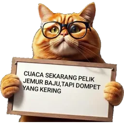 kucing, lawak, cuaca, papan tanda, dompet kering