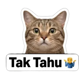 kucing, tak tahu