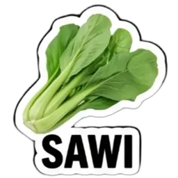 senarai belanja, pasar, sayur, sawi