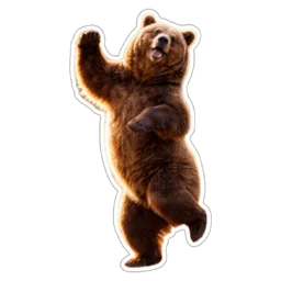 menari, beruang, haiwan, seronok, bear