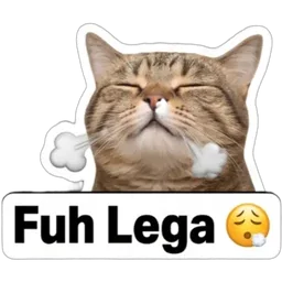 kucing, lega