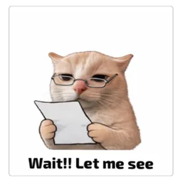 kucing, cat, wait, let me see, check, spectacles