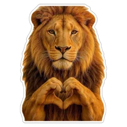 love, hati, haiwan, singa, lion, heart hands