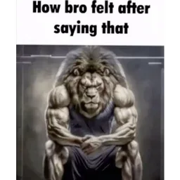 meme, lion, bro, gym, how bro felt