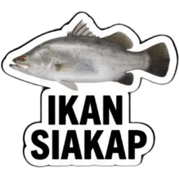 ikan, senarai belanja, pasar, ikan siakap