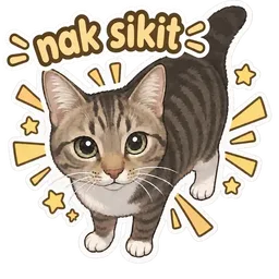 kucing, comel, cat, minta, nak sikit