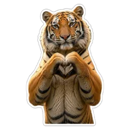 love, hati, sayang, harimau, tiger