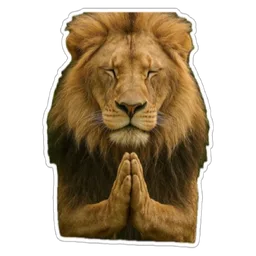 terima kasih, doa, berdoa, singa, lion, please, mohon