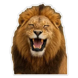 marah, haiwan, singa, garang, lion, mengaum