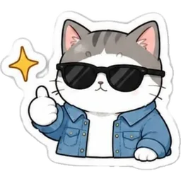 ok, kucing, thumbs up, sunglasses, cool