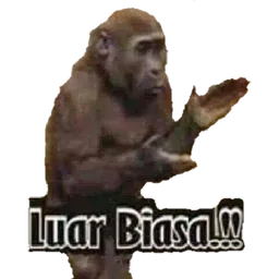 monyet, luar biasa, pujian, bagus, hebat, tepuk tangan