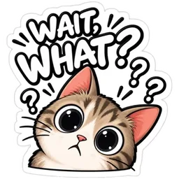 kucing, cat, terkejut, confused, wait what