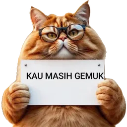kucing, sindir, gemuk, oren, papan tanda