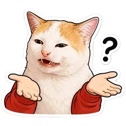 kucing, tak tahu, soalan, meme kucing, apa