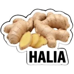 rempah, senarai belanja, pasar, halia