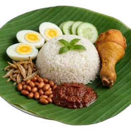makanan, lapar, ayam, nasi lemak, sambal, ayam goreng