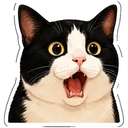 kucing, comel, terkejut, wow, meme kucing