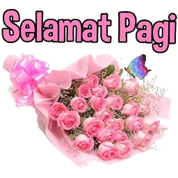 selamat pagi, good morning, pink, bunga, mawar