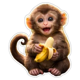 comel, monyet, gembira, haiwan, pisang