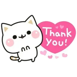 terima kasih, thank you, kucing, comel, hati