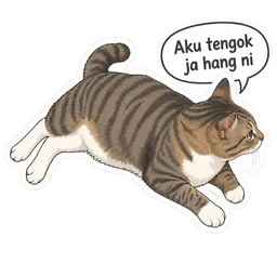 kucing, loghat utara, pandang, hang, aku tengok ja