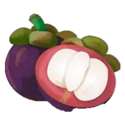 buah, manggis, mangosteen, buah tempatan