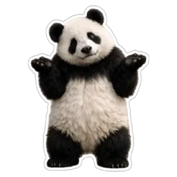 comel, entahlah, haiwan, panda, shrug