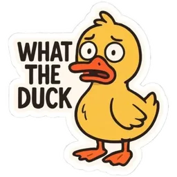 itik, shocked, duck, what the duck, wtf
