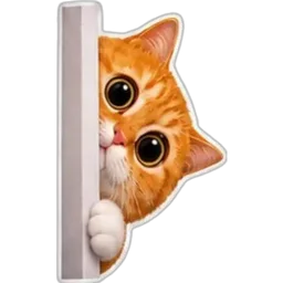 kucing, mengintai, comel, cat, oren