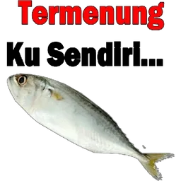 ikan, termenung, kelakar, bosan, sendiri