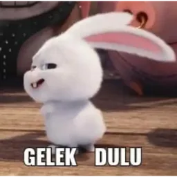 menari, lucu, arnab, snowball, gelek dulu
