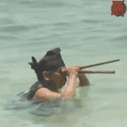 laut, senapang, menembak, sniper, menyorok