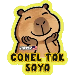 comel, soalan, capybara, comel tak saya, gemok