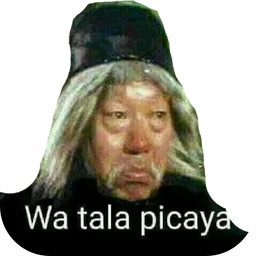 lucu, meme, tak percaya, wa tala picaya