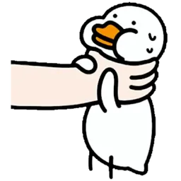 lawak, itik, duck, cekik, choke