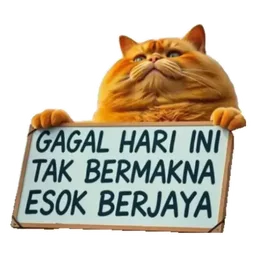 semangat, kucing, motivasi, papan tanda, gagal