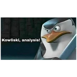 meme, penguin, analysis, kowalski, cartoon