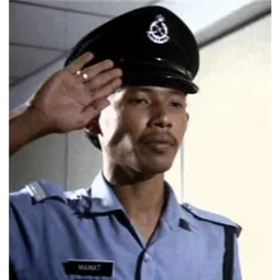 tabik, hormat, salute, polis, mamat