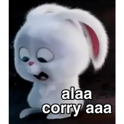 comel, arnab, maaf, sorry, snowball