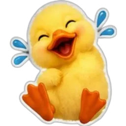 ketawa, comel, gelak, itik, happy