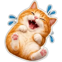 lucu, ketawa, kucing, comel, gelak