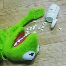 meme, stress, katak, kermit, pil