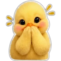comel, malu, terkejut, itik, kuning