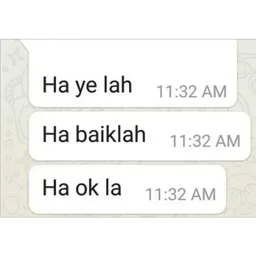 setuju, baiklah, chat, ok la, ye lah