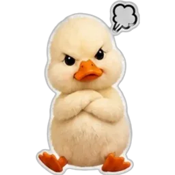 comel, marah, merajuk, itik, angry duck