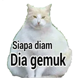 kucing, meme, kucing gemuk, siapa diam, gemuk