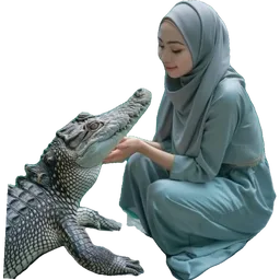 salam, buaya, tudung, pelik, crocodile