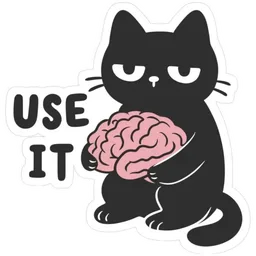 sindir, use it, brain, black cat, think
