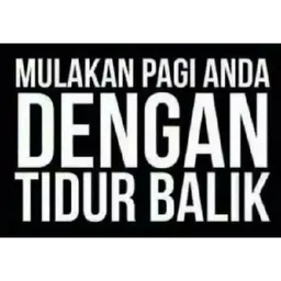lucu, mengantuk, malas, pagi, tidur balik